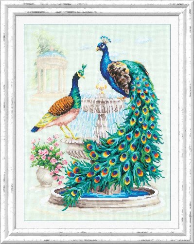 (image for) Peacock